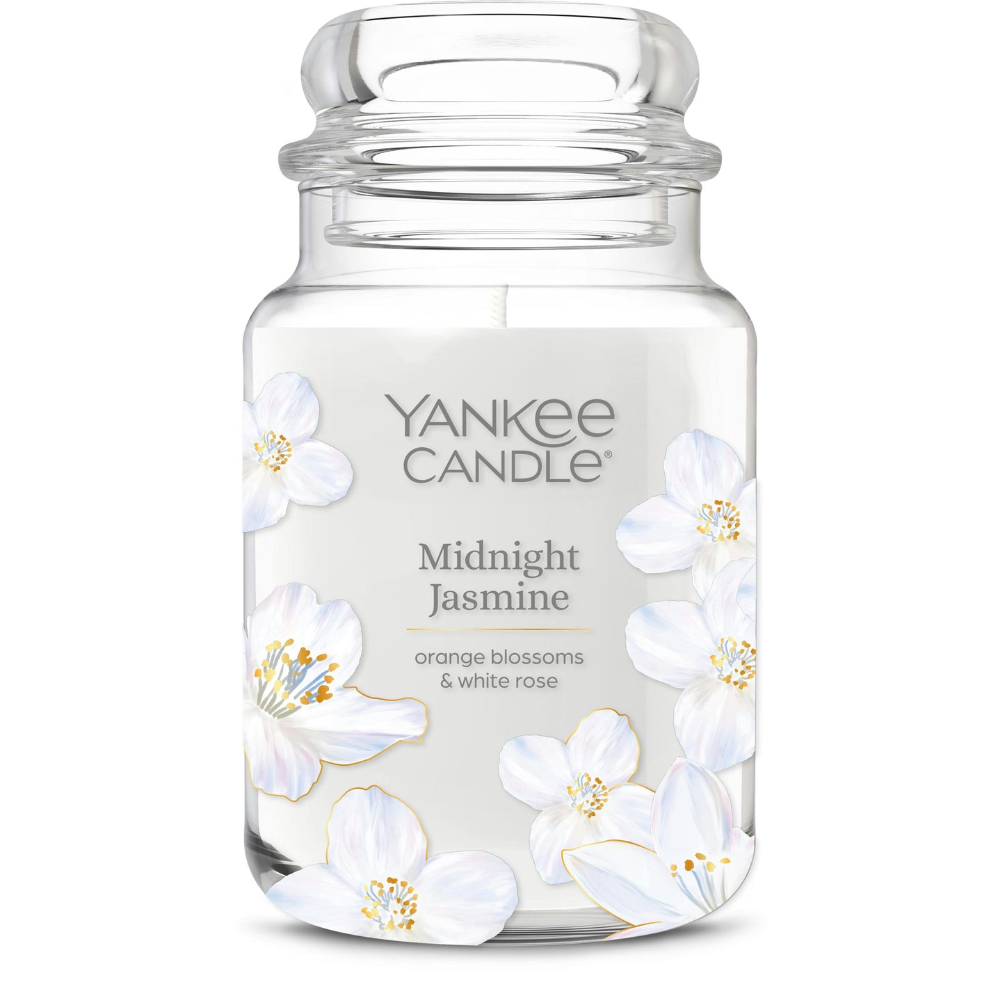 Midnight Jasmine VLVL