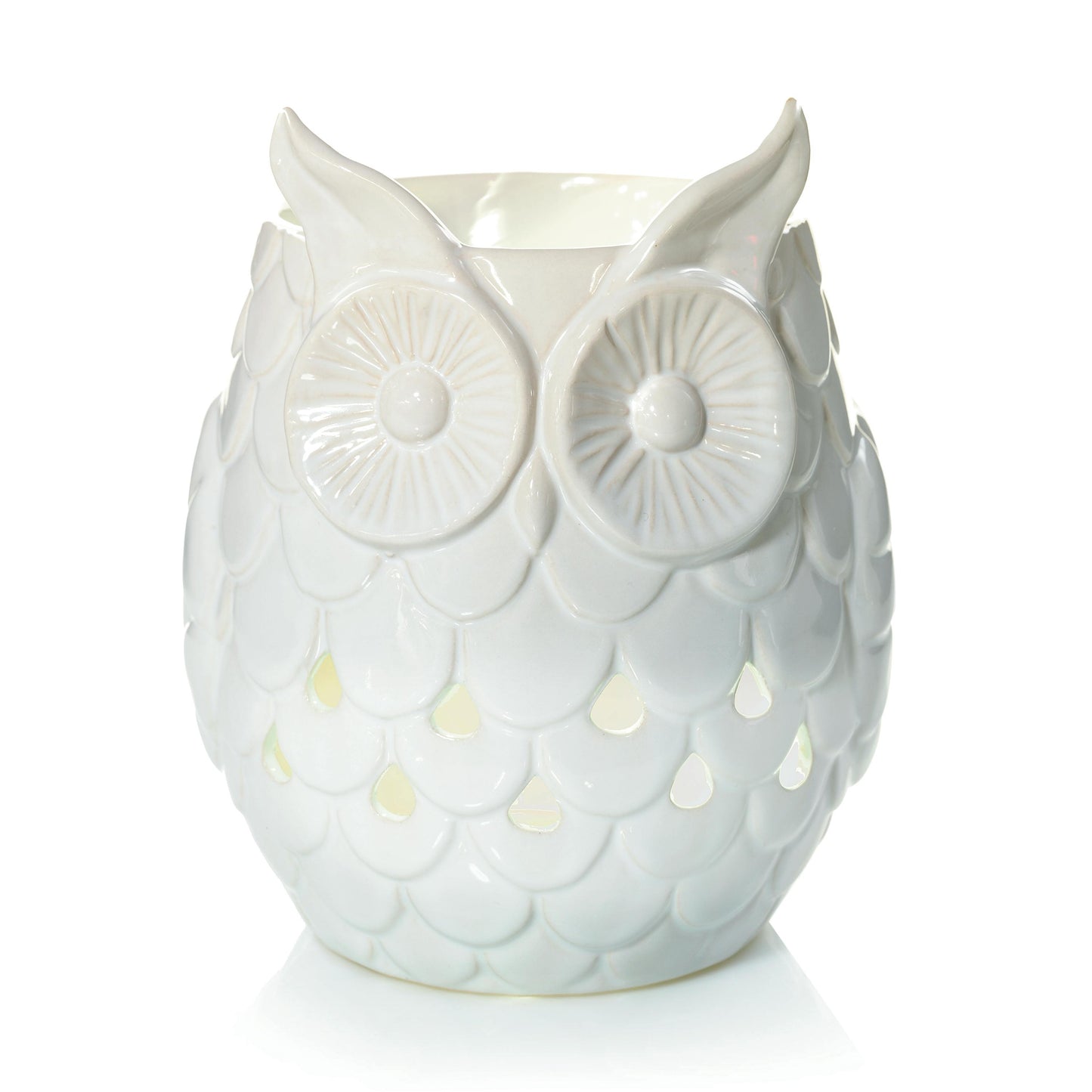 Owl RQ8K