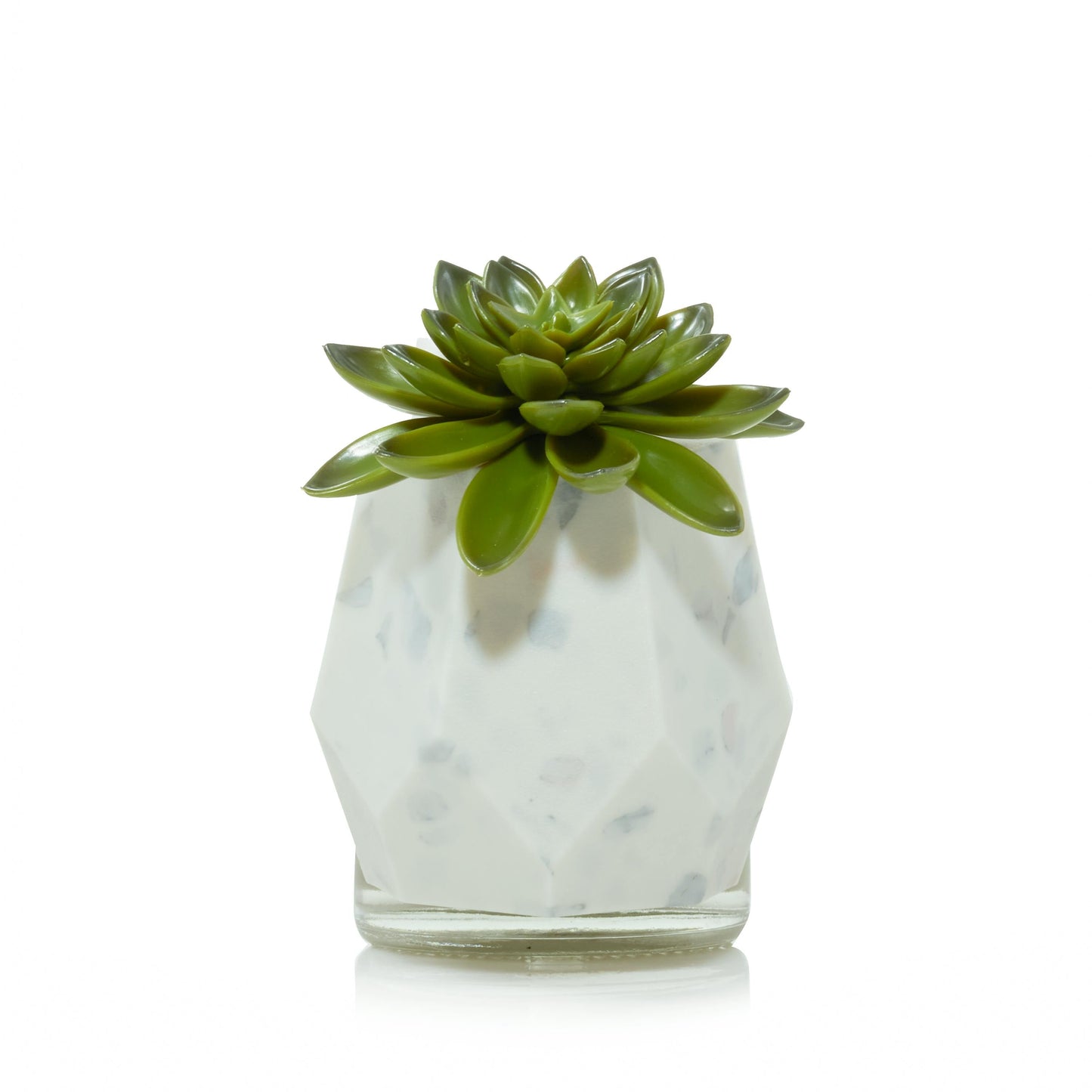 Faceted Succulent ScentPlug® Diffuser with Light 29YL