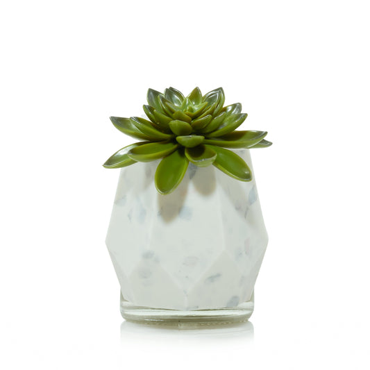 Faceted Succulent ScentPlug® Diffuser with Light 29YL